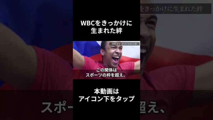 【海外の反応 野球】WBC世界一の栗山元監督が繋ぐ架け橋 チェコの野球界に異変！！