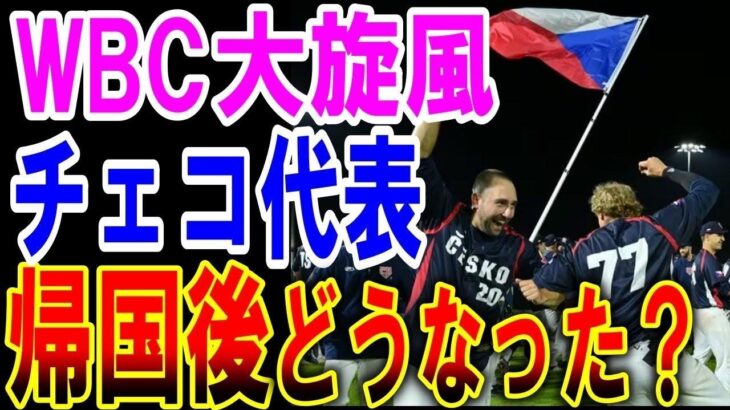 【海外の反応】【WBC】チェコ代表ジーマ主将が大会後の本音を激白した「国内で野球の見方が変わった。日本からファンも…」【ゆっくり解説】