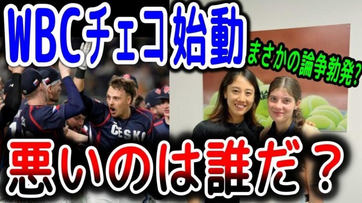 【海外の反応】WBCチェコ代表へ!!日本人ファンからの贈り物が話題「例の論争がチェコに飛び火?」ボールガール直撃失格問題の現地報道はどうなっているの？ブズコワは加藤のペアだった…【ゆっくり解説】