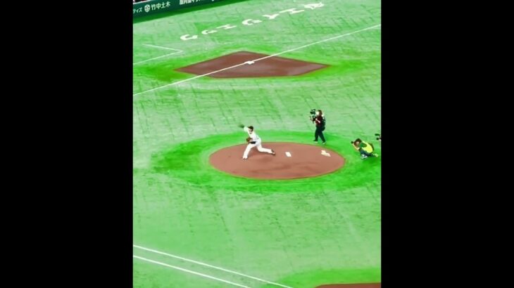 大谷翔平 WBC準々決勝 #WBC #大谷翔平現地撮影