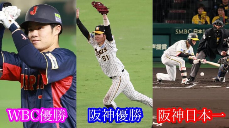 WBC優勝！阪神優勝！！阪神日本一！！！阪神タイガース中野拓夢選手の2023年を振り返ろう！