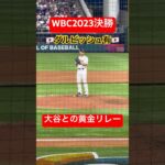 【WBC2023現地観戦】ダルビッシュ有　大谷翔平の黄金リレー #mlb #wbc #2023 #ダルビッシュ有 #大谷翔平#shorts