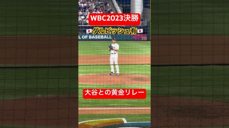 【WBC2023現地観戦】ダルビッシュ有　大谷翔平の黄金リレー #mlb #wbc #2023 #ダルビッシュ有 #大谷翔平#shorts