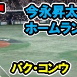 パン・コンウ　今永昇太からライトへソロホームラン！　WBC　日本対韓国　2023/3/10　東京ドーム　【現地映像】