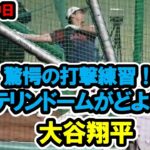 大谷翔平　驚愕の打撃練習！バンテリンドームがどよめき！　WBC壮行試合　日本対中日　2023/3/4　バンテリンドームナゴヤ　【現地映像】