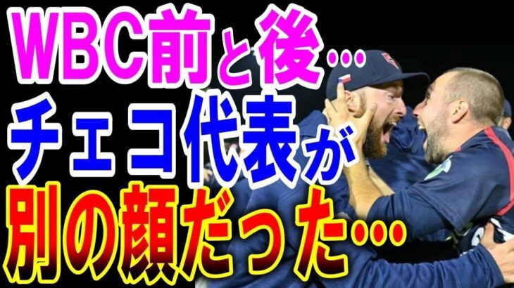 【海外の反応】【WBC】チェコのテレビ局が侍ジャパンを大特集。チェコでも大絶賛だった。チェコの野球人気も急上昇、WBC後のチェコ野球【ゆっくり解説】