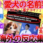 【海外の反応】速報！大谷翔平の愛犬の名前判明！日本名は「デコピン」アメリカ名は「decoy（デコイ）」についての外国人の反応集