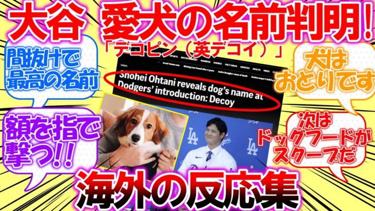 【海外の反応】速報！大谷翔平の愛犬の名前判明！日本名は「デコピン」アメリカ名は「decoy（デコイ）」についての外国人の反応集