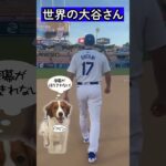 【大谷翔平】ドジャース入団会見!!愛犬の名前も公表!?#mlb  #大谷翔平 #ドジャース