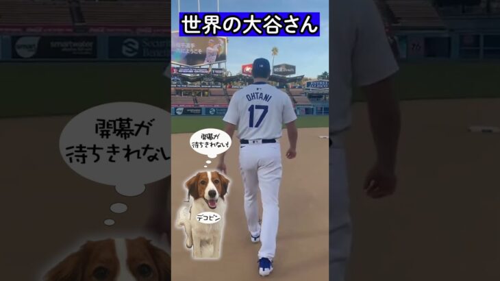 【大谷翔平】ドジャース入団会見!!愛犬の名前も公表!?#mlb  #大谷翔平 #ドジャース