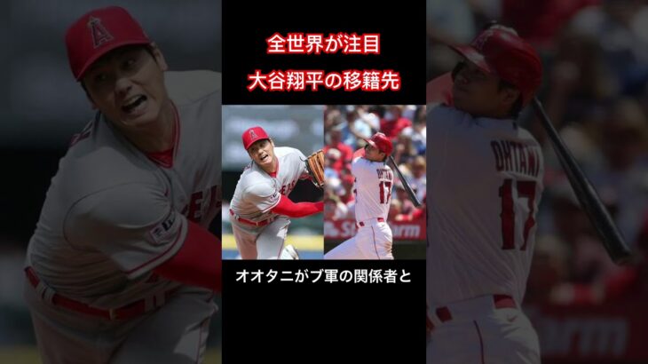 ＭＬＢ　大谷翔平、ブルージェイズと面談　フロリダのキャンプ施設訪問#大谷翔平#ohtani #ohtanishohei #shohei #メジャー#メジャーリーグ#メジャーリーガー