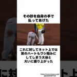 大谷翔平の聖人エピソード #shorts #プロ野球 #野球