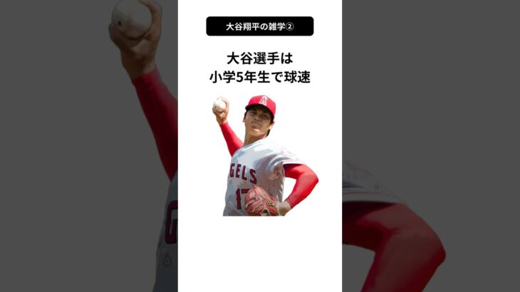 大谷翔平選手の雑学② #雑学 #豆知識 #shorts #大谷翔平