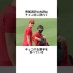 大谷翔平に関する雑学 #shorts #大谷翔平