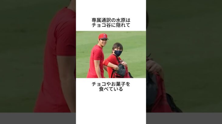 大谷翔平に関する雑学 #shorts #大谷翔平