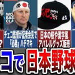 【朗報】チェコで日本野球旋風が巻き起こる！