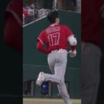 大谷翔平最高！！