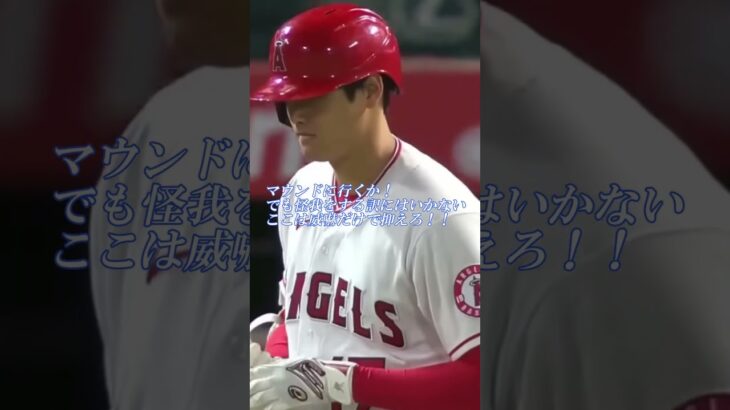 大谷翔平選手 メジャーで初めての怒りの感情を表に出す！あわや乱闘!?『あの目は本気だった！』慌ててマルドナード捕手も間に入る！アテレコは個人的な想像です。