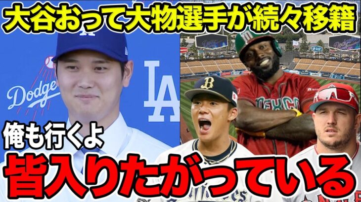 大谷翔平のドジャース移籍を受けて大物選手が続々と移籍希望提出か！ランディ・アロザレーナやマイク・トラウトの移籍匂わせがヤバい！