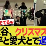 大谷翔平、クリスマスを一平やワンちゃんと過ごしていたｗｗｗ【なんｊプロ野球反応】