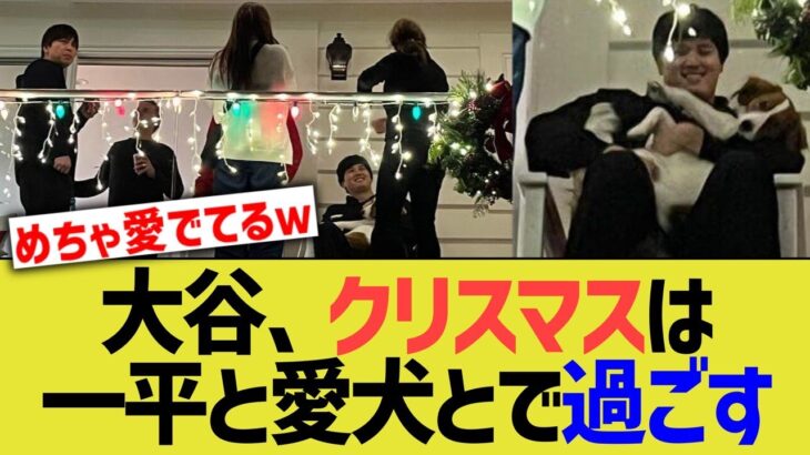 大谷翔平、クリスマスを一平やワンちゃんと過ごしていたｗｗｗ【なんｊプロ野球反応】