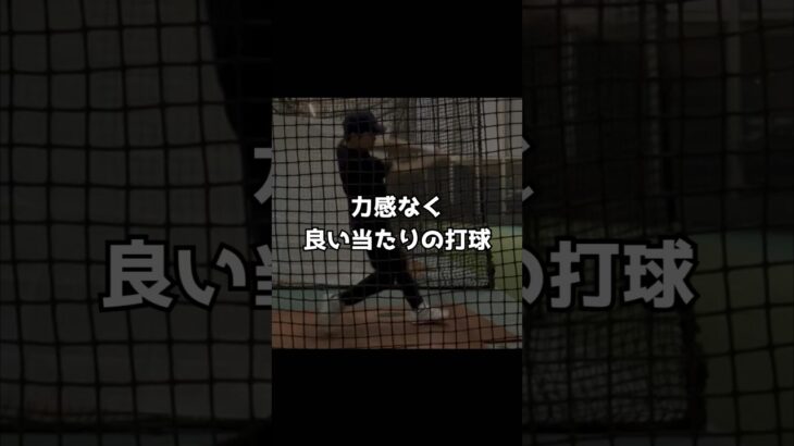 音声解説つき#野球 #少年野球 #大谷翔平 #宮川理論  #吉田正尚 #プロ野球#侍ジャパン