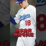 山本由伸　背番号決定　#大谷翔平　#ドジャース　#エンゼルス　#ジャイアンツ　#ブルージェイズ　#メジャー　#ダルビッシュ有　#吉田正尚　#鈴木誠也　#山本由伸　#松井裕樹　#イチロー