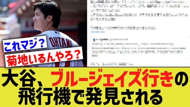 大谷、ブルージェイズ行きの飛行機に搭乗したと証言されるｗｗｗ【なんｊ野球反応】