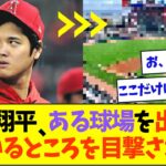 大谷翔平、ある球場を出入りしているところを目撃されてしまうww【なんJなんG反応】【2ch5ch】