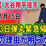 【速報】大谷翔平投手01月15日「2泊3日弾丸緊急帰国」本当の理由が明らかに···アメリカ大使館が愛犬デコピンのVISA発給も既