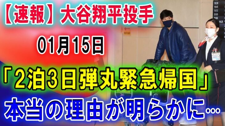 【速報】大谷翔平投手01月15日「2泊3日弾丸緊急帰国」本当の理由が明らかに···アメリカ大使館が愛犬デコピンのVISA発給も既