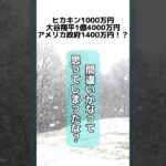 ヒカキン1000万円、大谷翔平1億4000万円、アメリカ政府1400万円！？ #ヒカキン #大谷翔平 #アメリカ