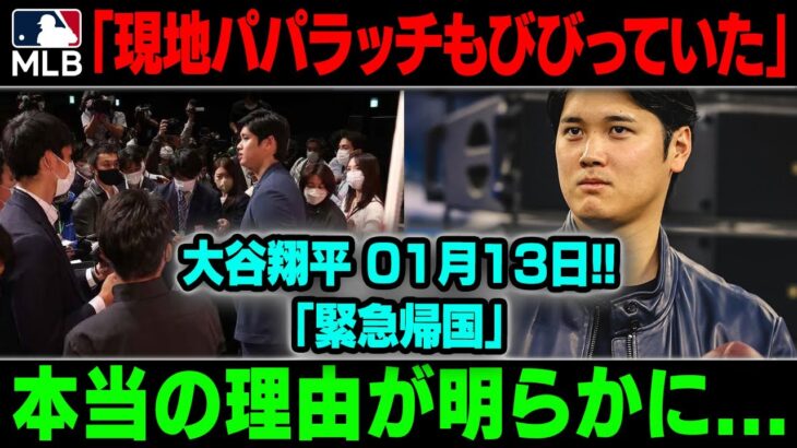 【衝撃】「現地パパラッチもびびっていた」 大谷翔平 1月11日!! 「緊急帰国」  本当の理由が明らかに…