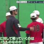 プロ野球ニュース  ＷＢＣ２０２３ ザ・ファイナル 2023年12月31日