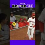 【大谷翔平】2023年の面白い瞬間#33：メロメロなギャル達の応援 😍😍😍 #shorts  #shoheiohtani #mlb #baseball