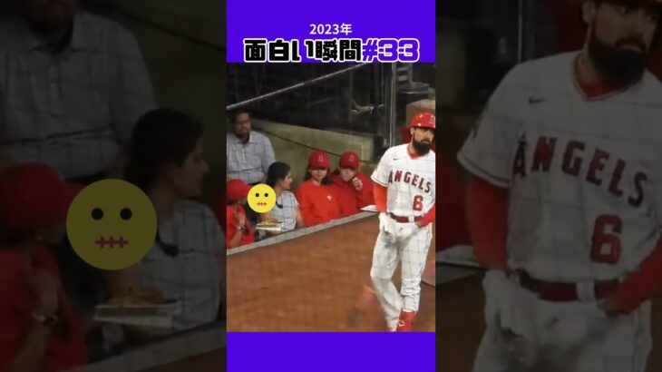 【大谷翔平】2023年の面白い瞬間#33：メロメロなギャル達の応援 😍😍😍 #shorts  #shoheiohtani #mlb #baseball