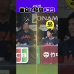 【大谷翔平】2023年の面白い瞬間#39：岡本、お前はドジャーズが興味ある? 😁😁😁 #shorts  #shoheiohtani #mlb #baseball