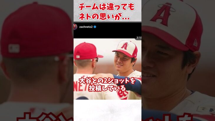 2024年ザックネトが大谷翔平を信頼している”ある理由”に涙が止まらない… #大谷翔平  #エンゼルス  #shortvideo