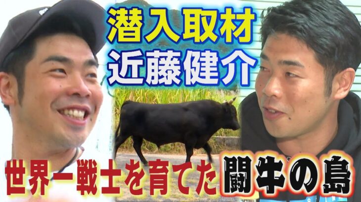 大谷翔平も来るはずだった？近藤健介が愛する徳之島（2024/1/20 .OA）｜テレビ西日本