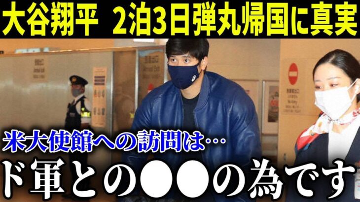 大谷翔平「帰国は●●●の為…」2泊3日弾丸帰国の理由に一同驚愕…アメリカ大使館でエマニュエル大使が愛犬デコピンのVISA発給も既に渡米しドジャースへ戻り右肘リハビリ＆練習再開か？【MLB/大谷翔平】