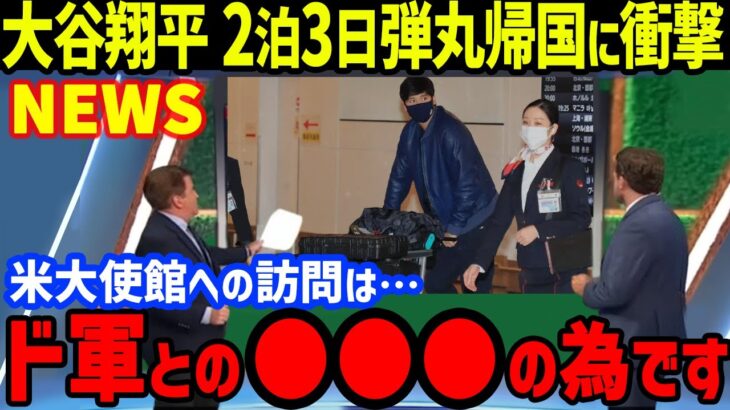 大谷翔平「帰国は●●●の為…」2泊3日弾丸帰国の理由に一同驚愕…アメリカ大使館でエマニュエル大使が愛犬デコピンのVISA発給も既に渡米しドジャースへ戻り右肘リハビリ＆練習再開か【海外の反応MLB】