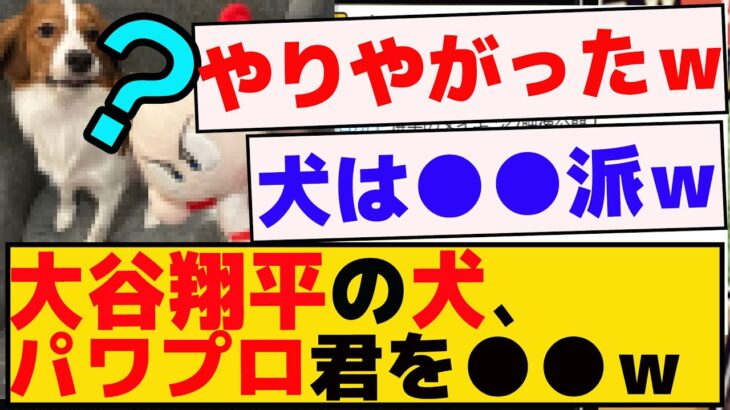 大谷翔平の犬、パワプロ君を●●ｗデコピンｗｗｗ【プロスピA】【反応集】