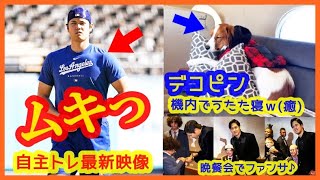 大谷翔平ムキっ！自主トレ最新映像 ＆ デコピン機内うたたね映像ｗ（BBWAA 晩餐会 おこぼれ現地映像）