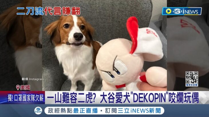 一山難容二虎? 大谷愛犬”DEKOPIN”咬爛玩偶 大谷翔平愛犬”爭寵”闖禍 大谷超吸金! 2024年經濟效益破”533億日幣”｜記者  魏仁君｜【國際局勢】20240118｜三立iNEWS