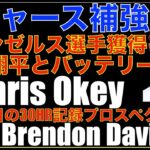 ドジャース補強 元エンゼルス Davis & 昨シーズン大谷翔平とバッテリーを組んだOkeyをマイナー契約で獲得‼️ エンゼルス有力報道もスネルの契約先は⁉️ ヤンキース  レンジャーズがネリスに興味