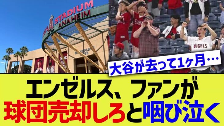 エンゼルス、ファンがもう球団を売却してくれと咽び泣く【なんJ プロ野球反応】