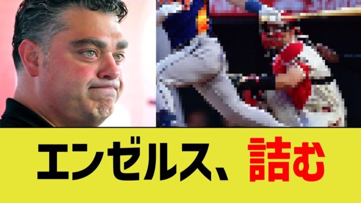 エンゼルス、全てを奪われる【なんJ プロ野球反応】