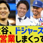 大谷、ドジャースで社内営業しまくっていた【なんJ プロ野球反応】