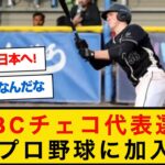 “ジャパニーズドリーム”実現！？　大谷翔平も敬意のＷＢＣチェコ代表が日本野球界へ！！【なんJプロ野球反応】