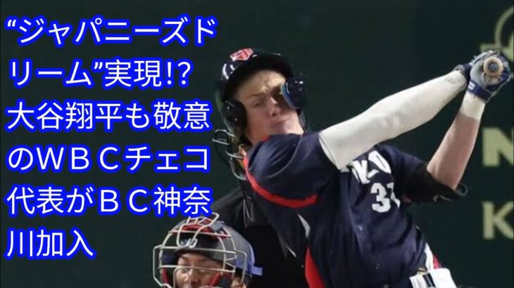 “ジャパニーズドリーム”実現！？　[Japan news]大谷翔平も敬意のＷＢＣチェコ代表がＢＣ神奈川加入